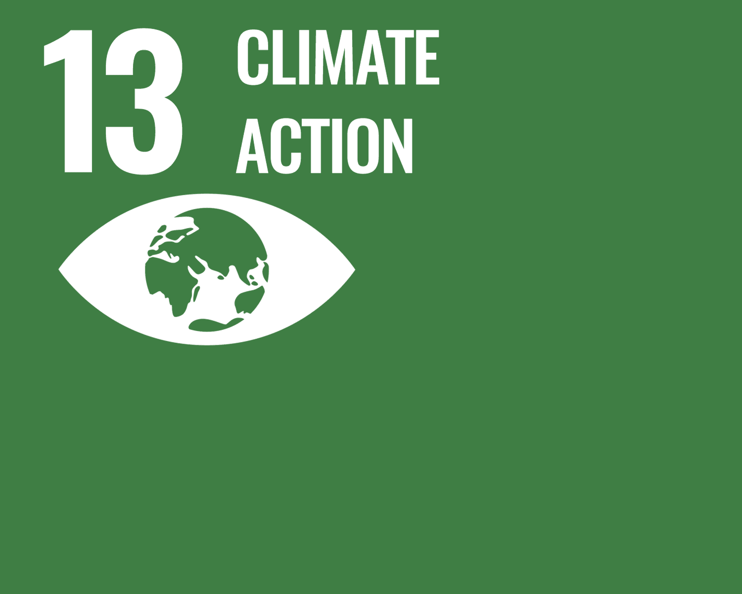 SDG goal 13